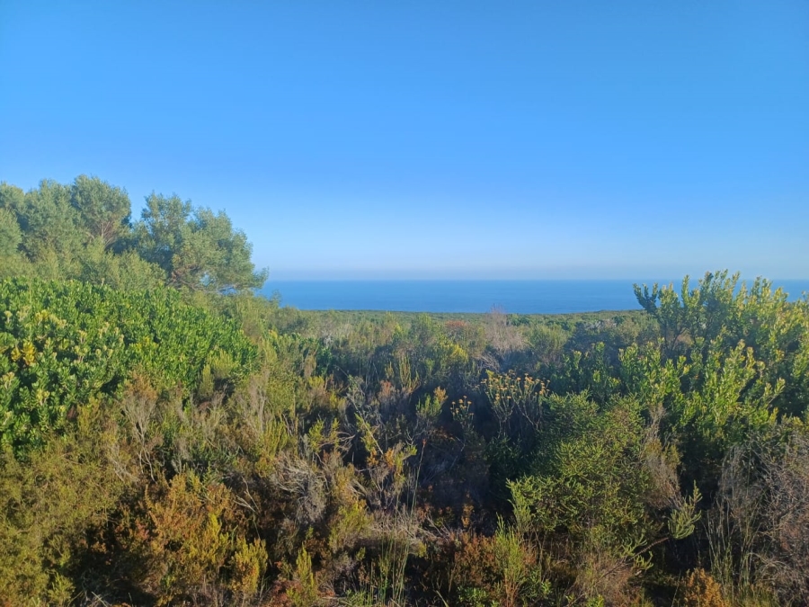 4 Bedroom Property for Sale in Stilbaai Rural Western Cape